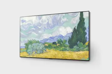 Image relative au LG-OLED55G1
