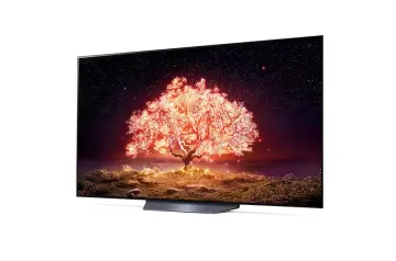 Image relative au LG-OLED65B1