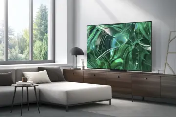 Image relative au SAMSUNG-TQ55S95C