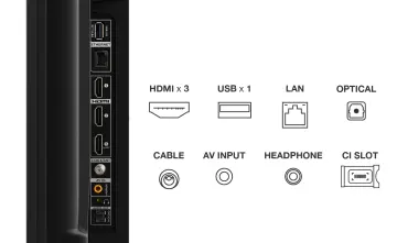 Image relative au TCL-55C649
