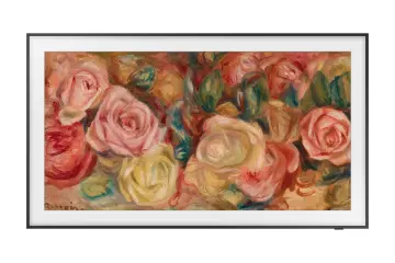 Image relative au SAMSUNG-TQ85LS03D
