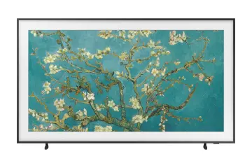 Image relative au SAMSUNG-QE65LS03BGUXXH