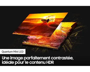 Image relative au SAMSUNG-QE55QN95B