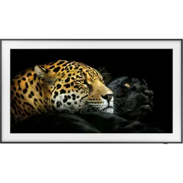 Image relative au SAMSUNG-QE65LS03A